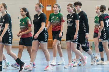 Bild 26 - wDJ HSG Kremperheide/Muensterdorf - TSV SR Schuelp : Ergebnis: 26:5